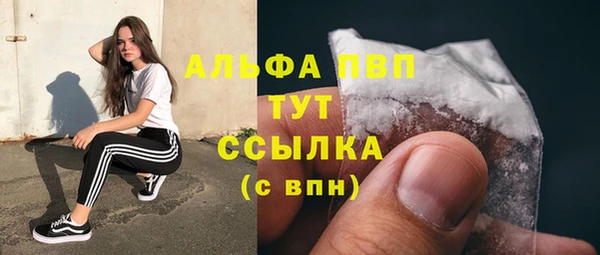 индика Киреевск