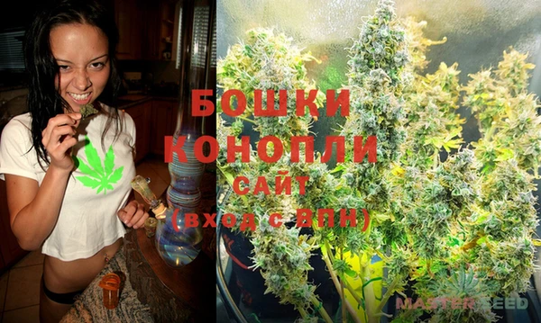 индика Киреевск
