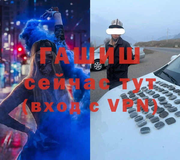 индика Киреевск