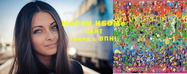 индика Киреевск