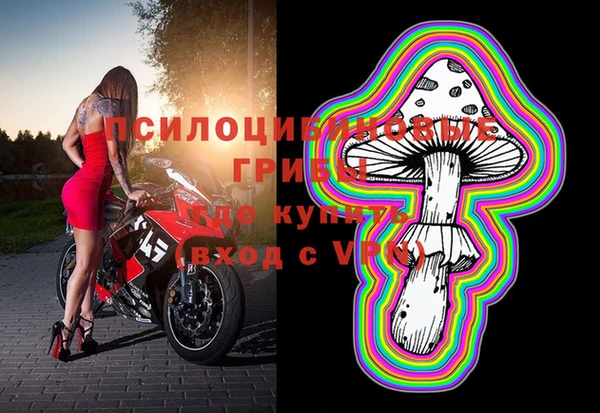 соль ск Касимов