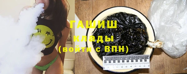 индика Киреевск