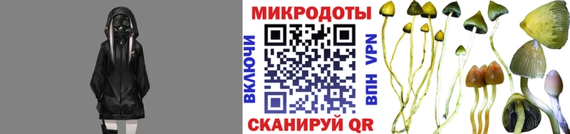 маркетплейс состав  закладка  Козловка  Галлюциногенные грибы мицелий  гидра онион 